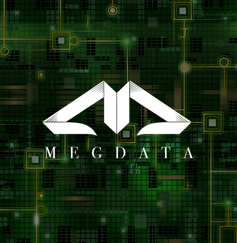 Megdata Solutions