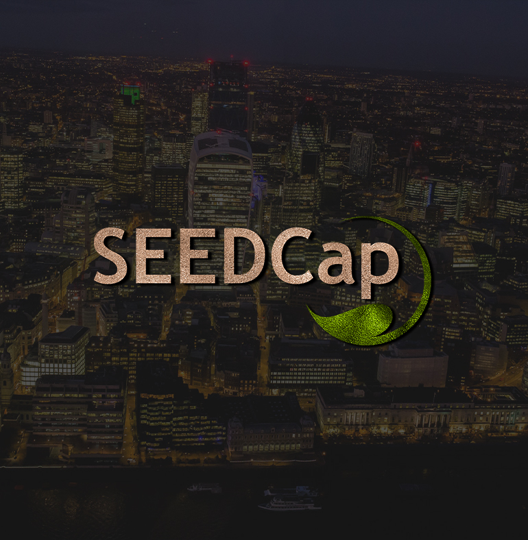 Seedcap Captial Investment